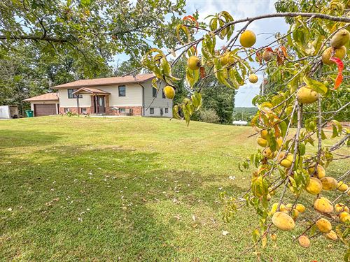 Hobby Farm for Sale in Southern MO : Mountain Grove : Wright County : Missouri