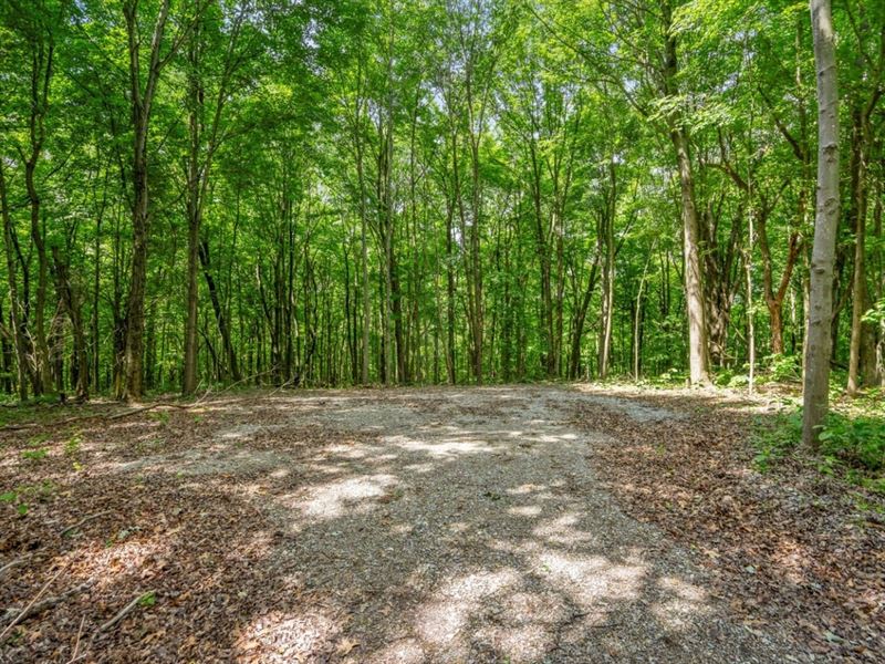 Potts Hill Rd, 45 Acres : Bainbridge : Pike County : Ohio