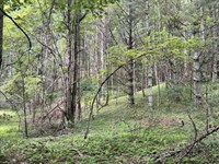 Private 63.08 Acre Wooded Tract : Mouth Of Wilson : Grayson County : Virginia