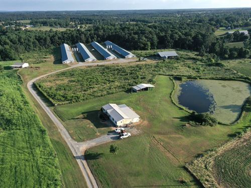 Salaibiak Farm : Rainsville : Dekalb County : Alabama