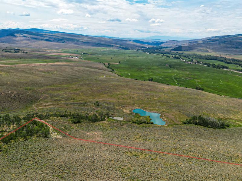 Round Mountain 40 : Almont : Gunnison County : Colorado