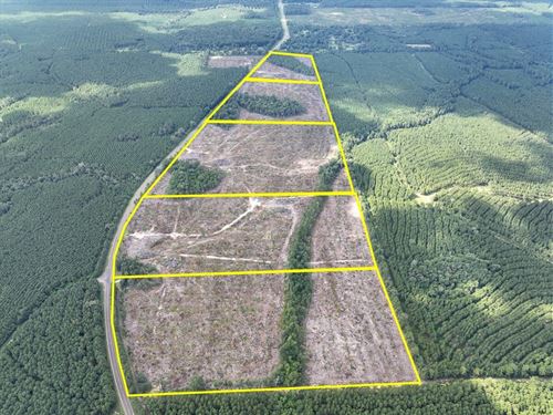 21 Acres, T-2, FM 92, 287044-045 : Spurger : Tyler County : Texas