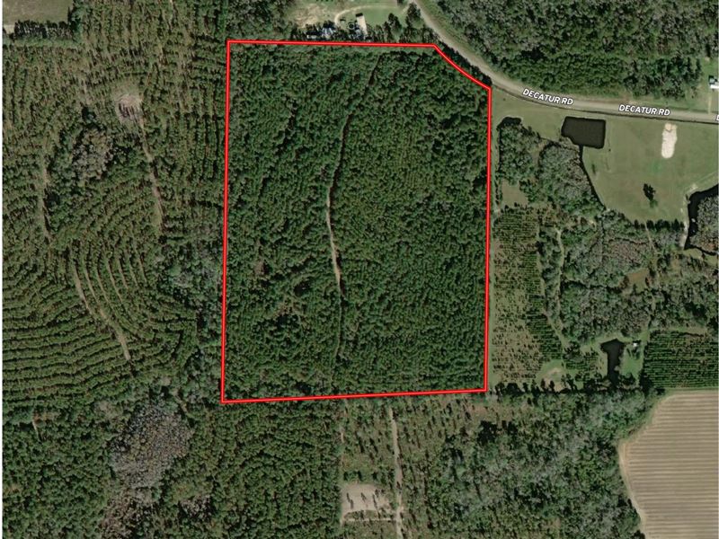 Houston Co AL Decatur Rd 39 ac : Cottonwood : Houston County : Alabama