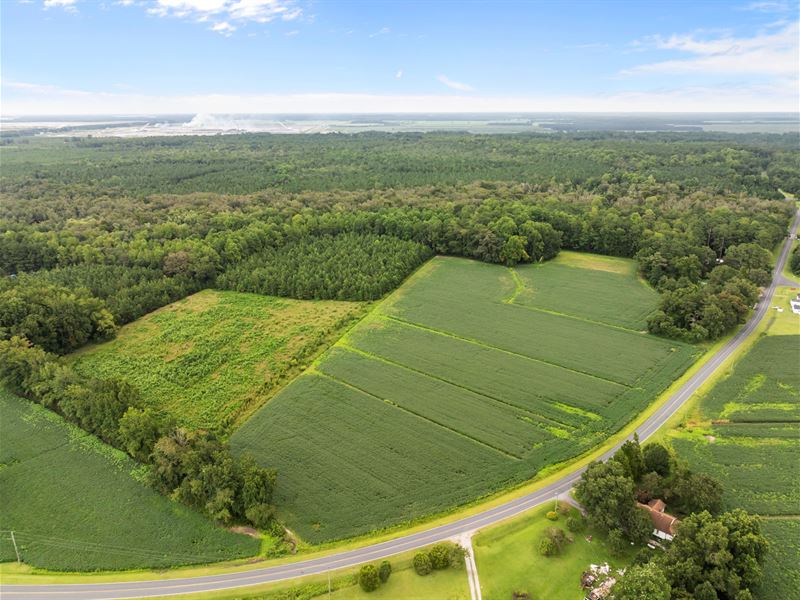59 Ac of Farmland, Timber & Hunting : Aurora : Beaufort County : North Carolina