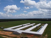 4 House Breeder Poultry Farm : Oglethorpe : Macon County : Georgia