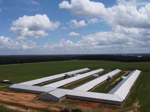 4 House Breeder Poultry Farm : Oglethorpe : Macon County : Georgia