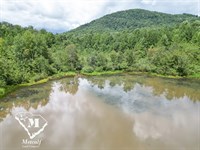 Finley's Lake 14 +/- Acres : Pickens : South Carolina