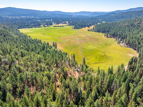 Mt. Shasta Villa : Mount Shasta : Siskiyou County : California