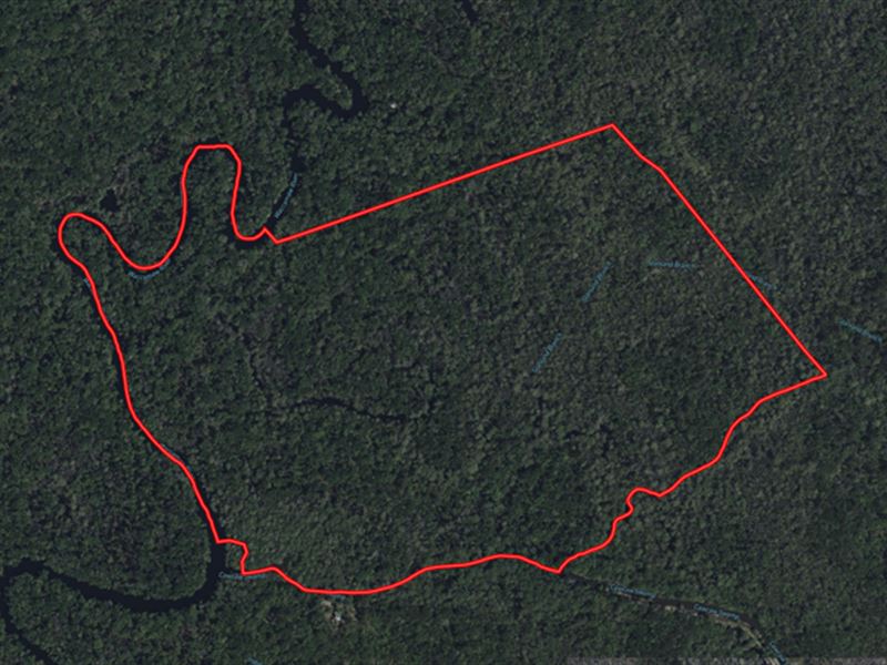 Large Riverfront Hunting Tract : Ash : Brunswick County : North Carolina