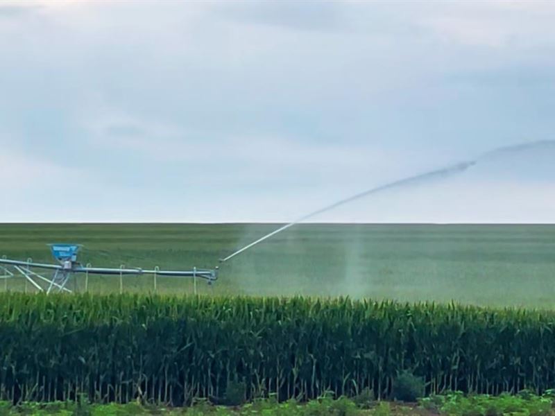 156 Acres, Gosper County Irrigated : Arapahoe : Gosper County : Nebraska