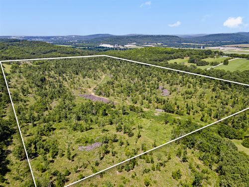 Letitia Lane, Greenland Acreage : Fayetteville : Washington County : Arkansas