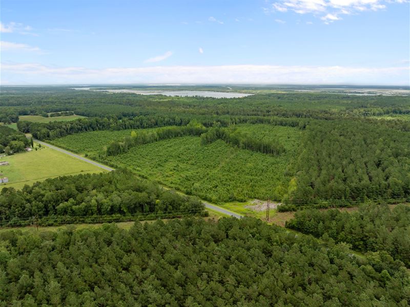 305 AC Farmland & Timber, Hunting : Aurora : Beaufort County : North Carolina