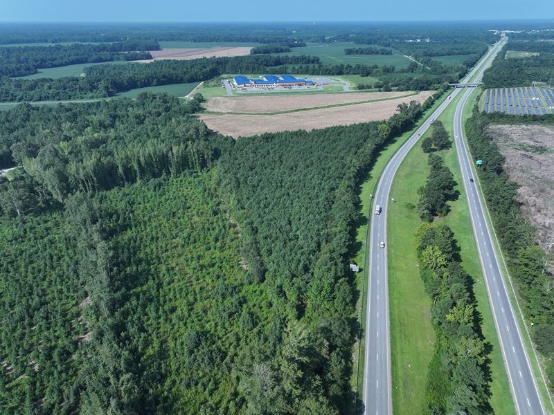 Farm & Timber Land for Sale : Laurinburg : Scotland County : North Carolina