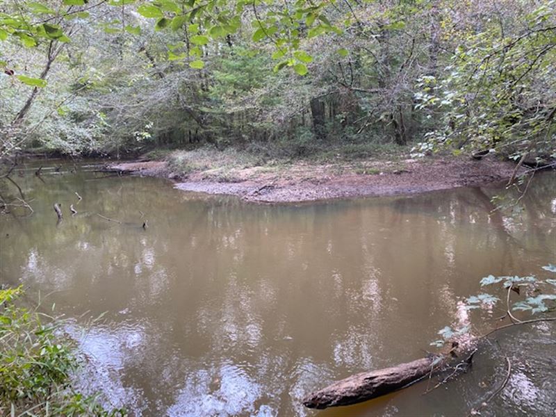 Tomlin Mill Creek Road Tract : Luverne : Escambia County : Alabama