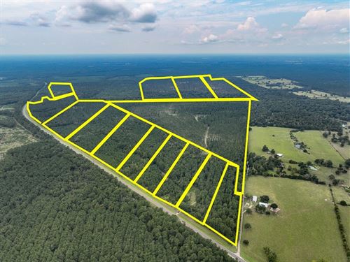 133 Acres, T-30, Meshell Road, 4 : Groveton : Trinity County : Texas