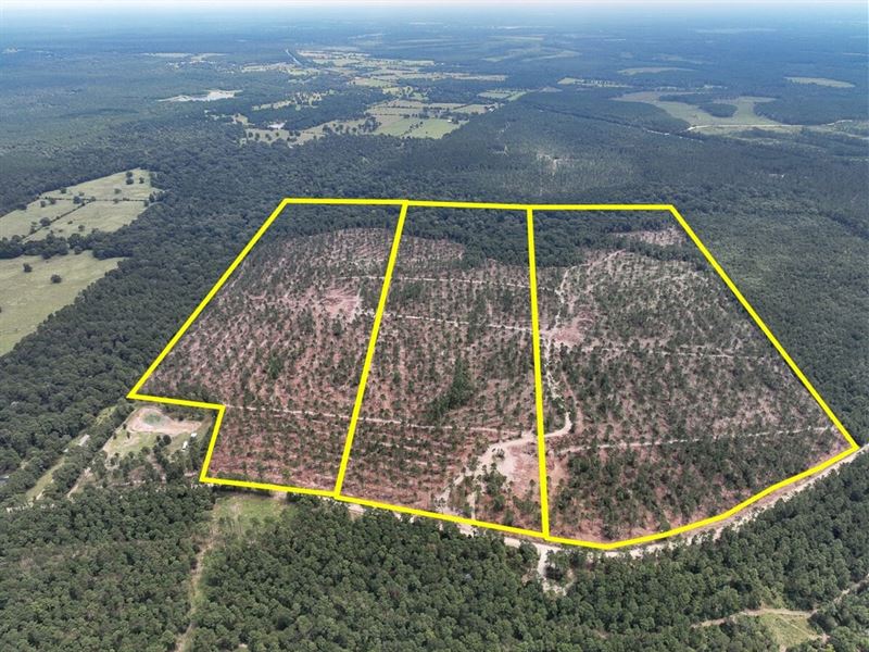 87 Acres, T-31, Boontown Road, 4 : Groveton : Trinity County : Texas