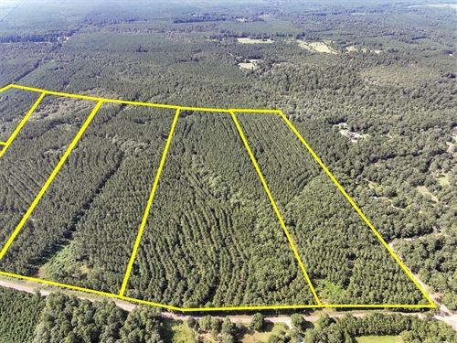 26 Acres, CR 1325, T-3, 285007 : Warren : Tyler County : Texas