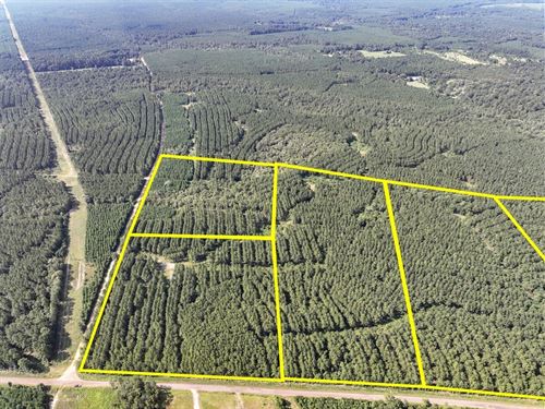 13 Acres, CR 1325, T-5, 285007 : Warren : Tyler County : Texas