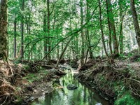 Stalking Creek Farm : Monticello : Jasper County : Georgia