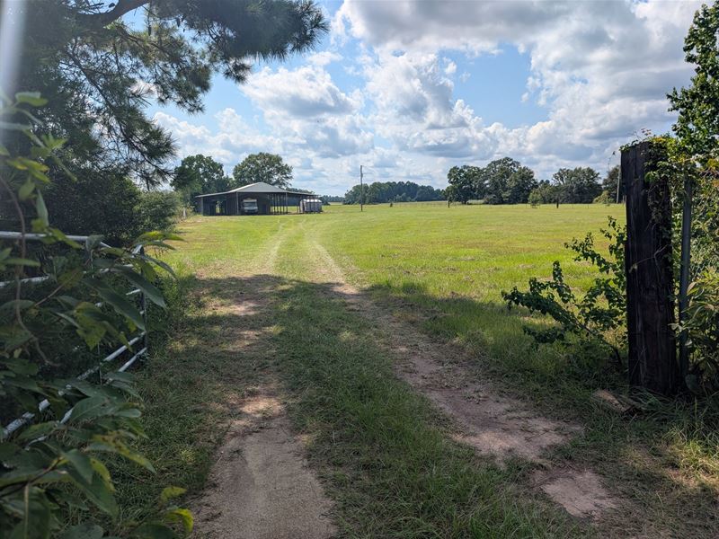 74 Acres Pasture and Woods in Aut : Marbury : Autauga County : Alabama