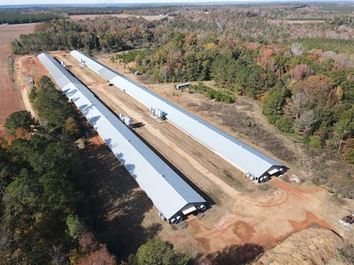 431 Breeder Farm : Abbeville : Henry County : Alabama