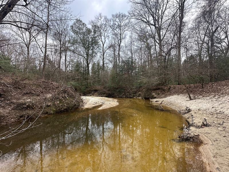 Tallawampa Creek Tract : Lou : Choctaw County : Alabama