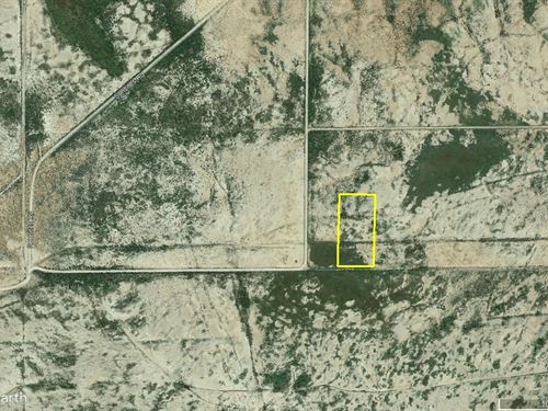 Great Texas Homestead : Van Horn : Culberson County : Texas