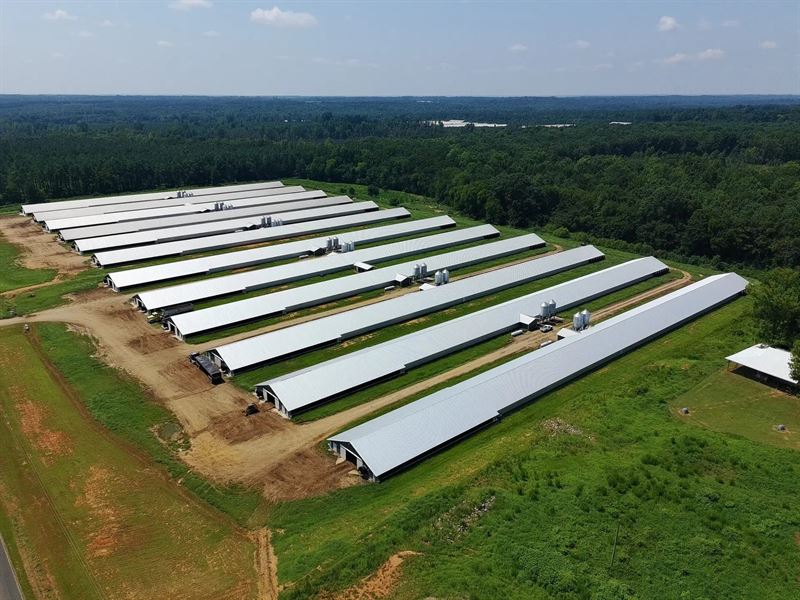 Morven Pines : Morven : Anson County : North Carolina