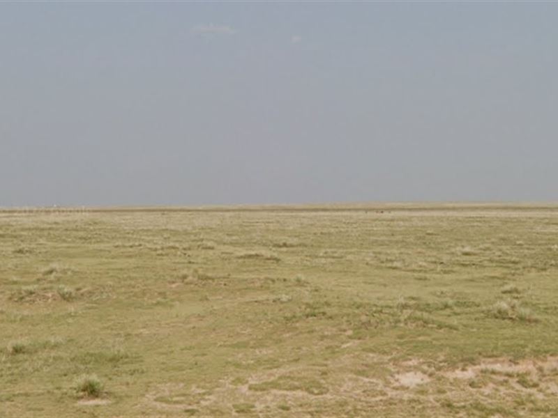 35 Acres Near Arkansas River Valley : Lamer : Bent County : Colorado