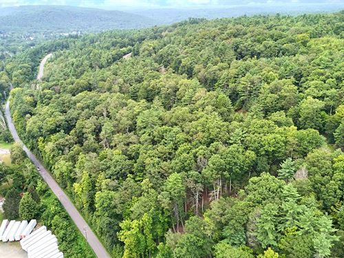 7.95 Acres in Pocono Mountains, PA : Milford : Pike County : Pennsylvania