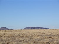 Colorado Land Deal 5 Acres for Sale : Mesa : Costilla County : Colorado