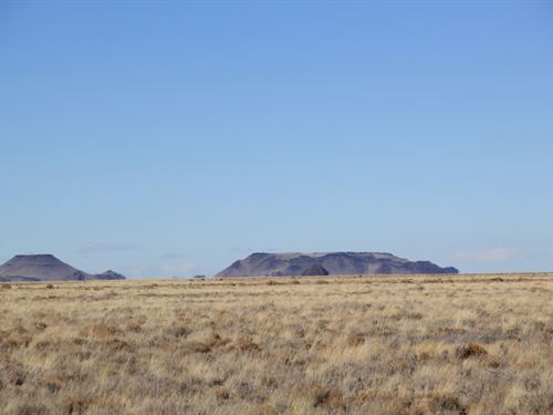 Colorado Land Deal 5 Acres for Sale : Mesa : Costilla County : Colorado