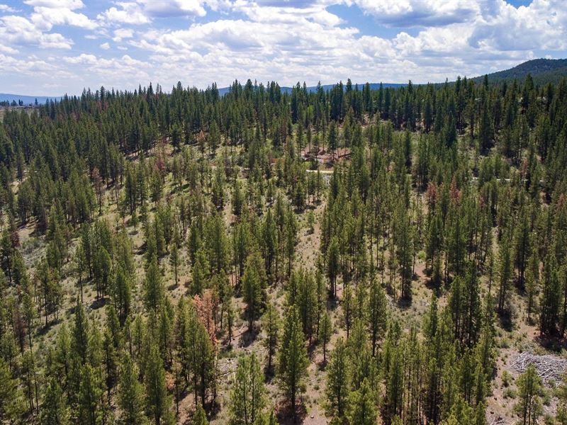 The Ten Acres of Your Dreams in OR : Beatty : Klamath County : Oregon