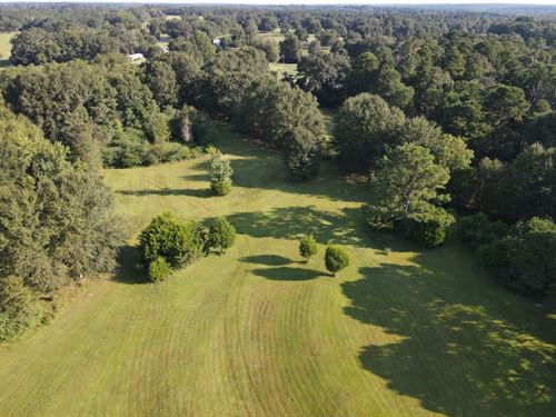 Centenary Road Tract : Luverne : Crenshaw County : Alabama