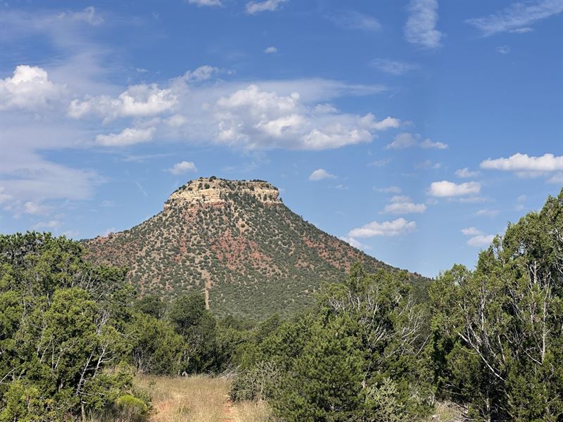 Starvation Peak 120 : Bernal : San Miguel County : New Mexico