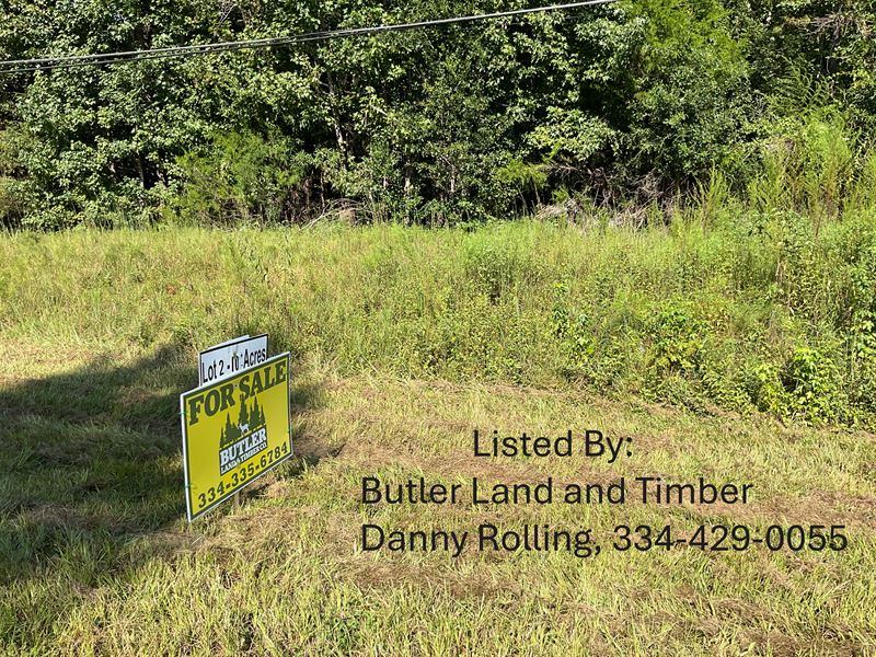 Patsburg Hwy Lot 2, 10.12 Acres : Luverne : Crenshaw County : Alabama