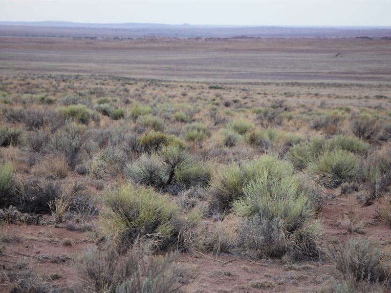 Scenic Horizon : Saint Johns : Apache County : Arizona