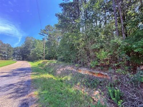 16 Acres, Tylertown, MS : Tylertown : Walthall County : Mississippi