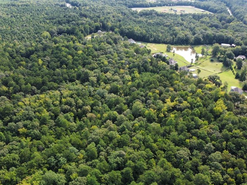 25 Acres Harris County, GA : Cataula : Harris County : Georgia