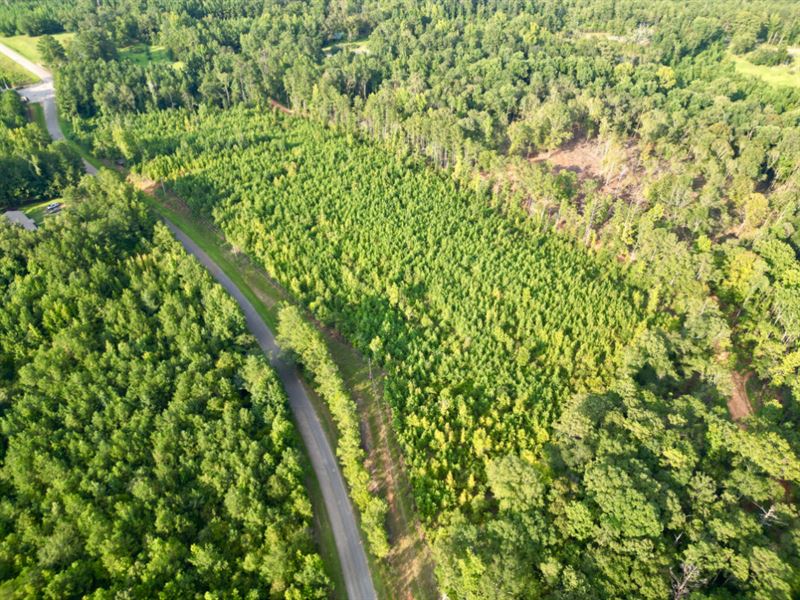 The Winn Bethlehem Road Tract : Jackson : Clarke County : Alabama