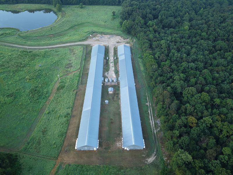 69.23 Acre Poultry Farm in Polk Co : Mena : Polk County : Arkansas