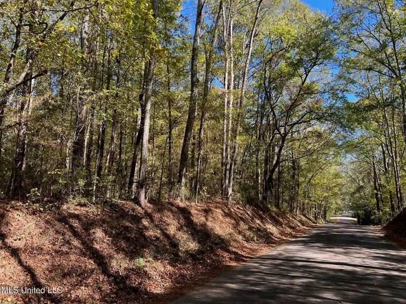51.52 Acres Land for Sale Near Mcc : McComb : Pike County : Mississippi