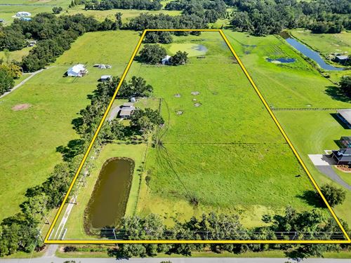Peaceful 12 Ac and Charming Cottage : Plant City : Hillsborough County : Florida