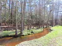 Dixired Tract : Leesville : Lexington County : South Carolina