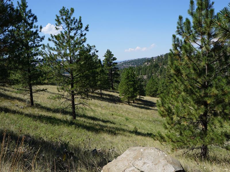 Ridge Crest Retreat : Cascade : Cascade County : Montana