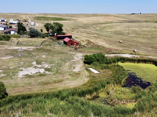 Ramah Springs Ranch : Ramah : Elbert County : Colorado
