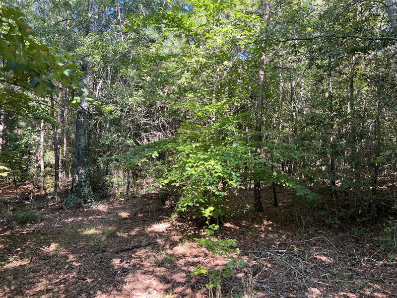 Lot 8 High Shoals Road : Anderson : Anderson County : South Carolina