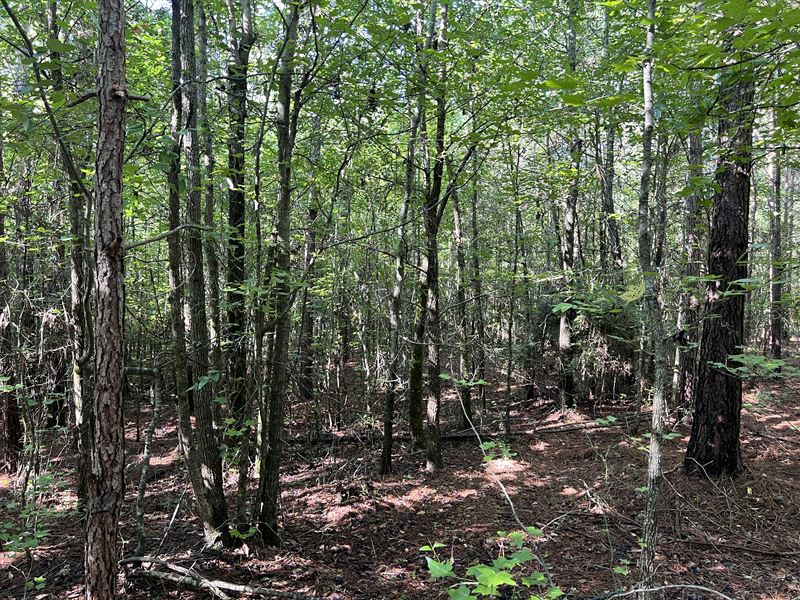 Lot 9 High Shoals Road : Anderson : Anderson County : South Carolina