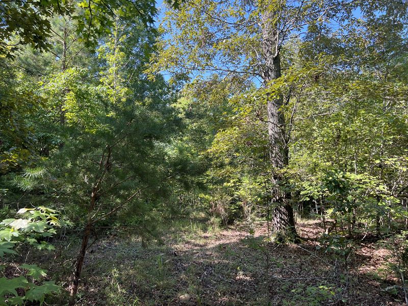 Lot 10 High Shoals Road : Anderson : Anderson County : South Carolina
