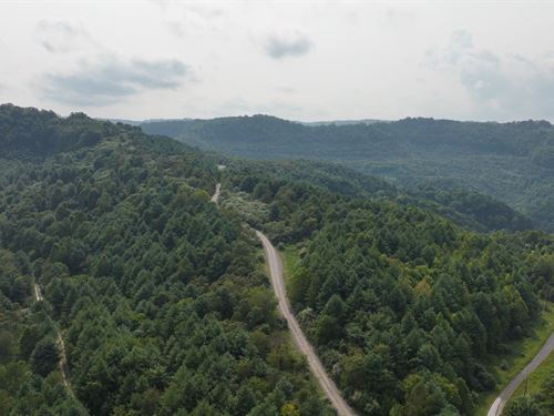 58.109 Acres in Russell County VA : Cleveland : Russell County : Virginia